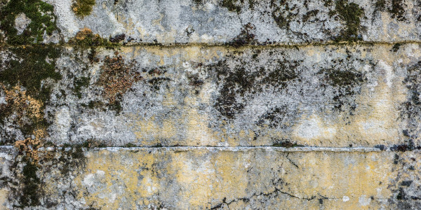 Pintar Fachadas y Patios de Luces de Comunidades Vecinos / Propietarios en Santa Coloma de Gramenet · Impermeabilización de Filtraciones de Agua y Humedad